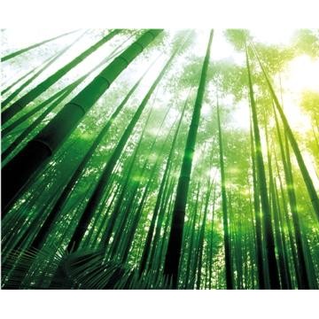 2018中國木樓梯、木地板博覽會