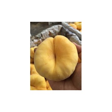 陜西紙袋黃油蟠油桃產(chǎn)地，紙袋黃金蟠油桃產(chǎn)地行情
