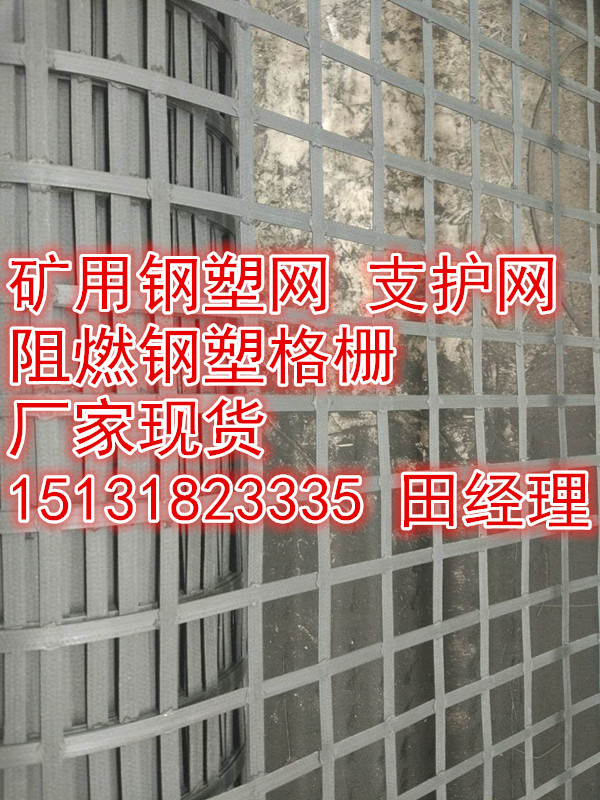 礦用鋼塑復合網(wǎng)，鋼塑土工格柵廠家